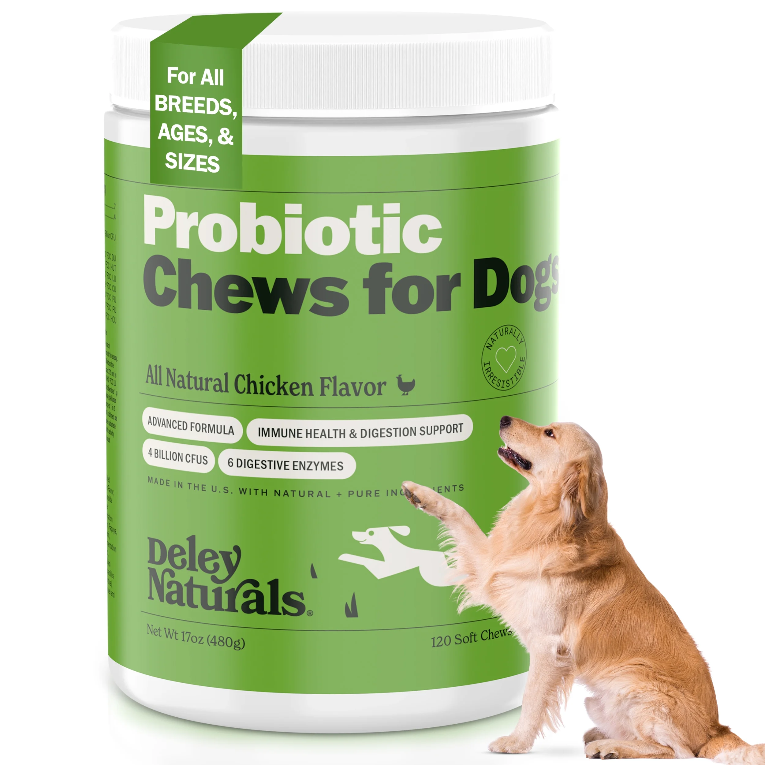 Dogs Probiotics: Supporting Your Pup’s Gut Health